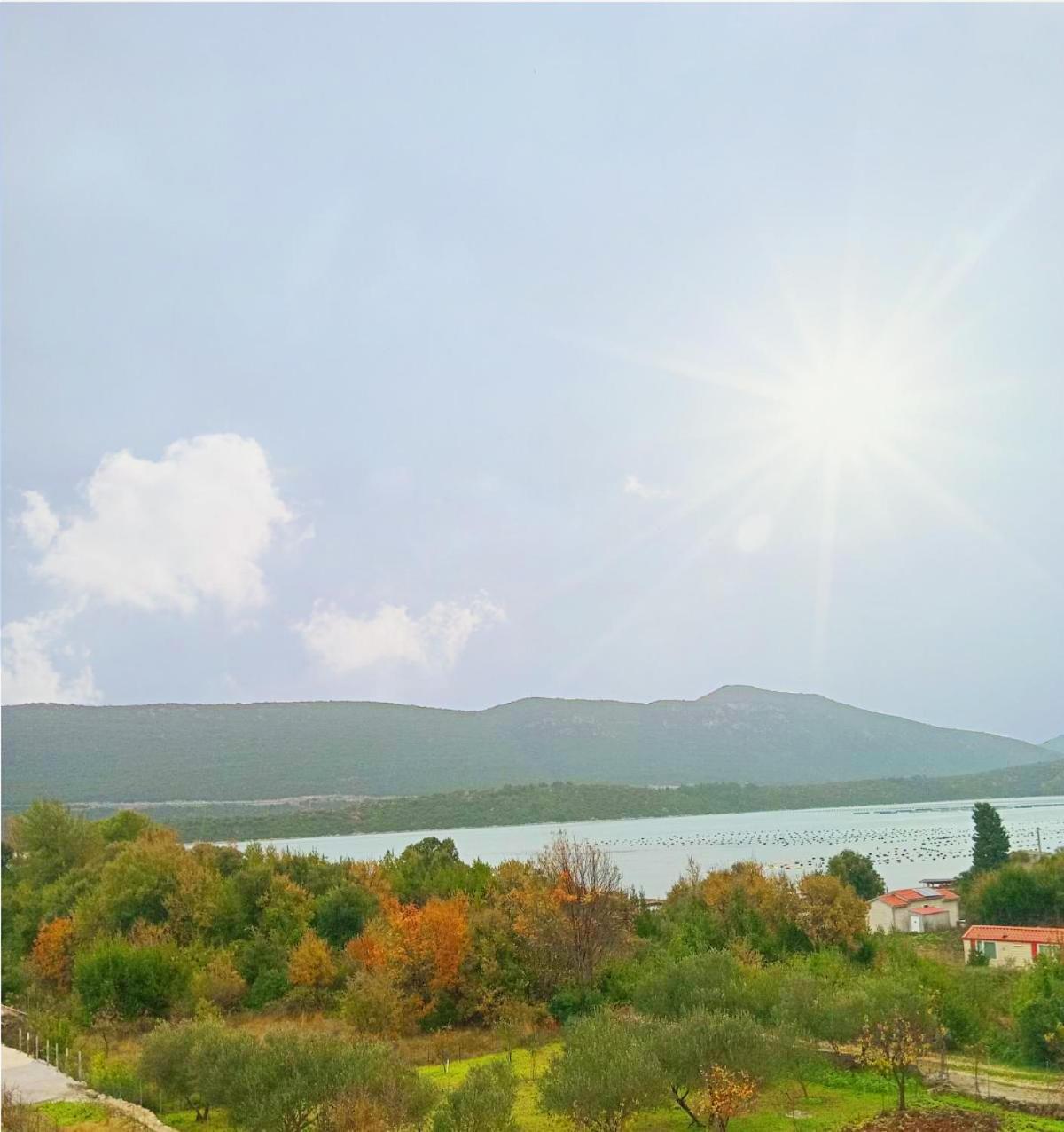 Apartments Maslina Стон Екстер'єр фото