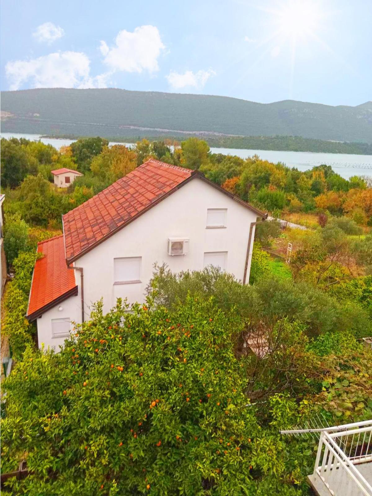 Apartments Maslina Стон Екстер'єр фото
